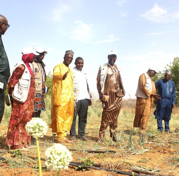L’INRAN renforce son engagement pour une recherche agricole axée sur les résultats